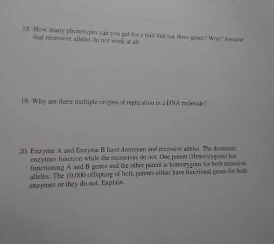 18. How many phenotypes can you get for a trait that has three genes? Why? Assume that recessive alleles do not work at all.