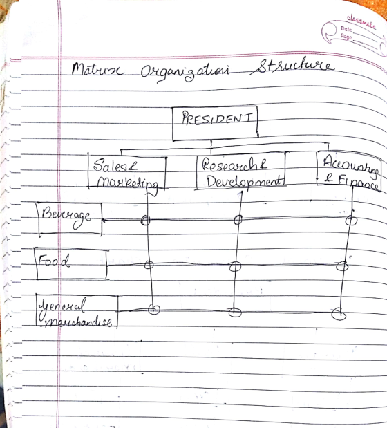 classmate Date Poge Matuze_Organizatori Stsucture PRESIDENT Salese marketing Beverage TResearche Development! Accountige & Fi