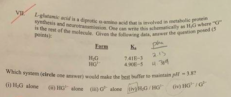 VI. L-glutamic acid is a diprotic a-amino acid that is involved in metabolic protein synthesis and neurotransmission. One can