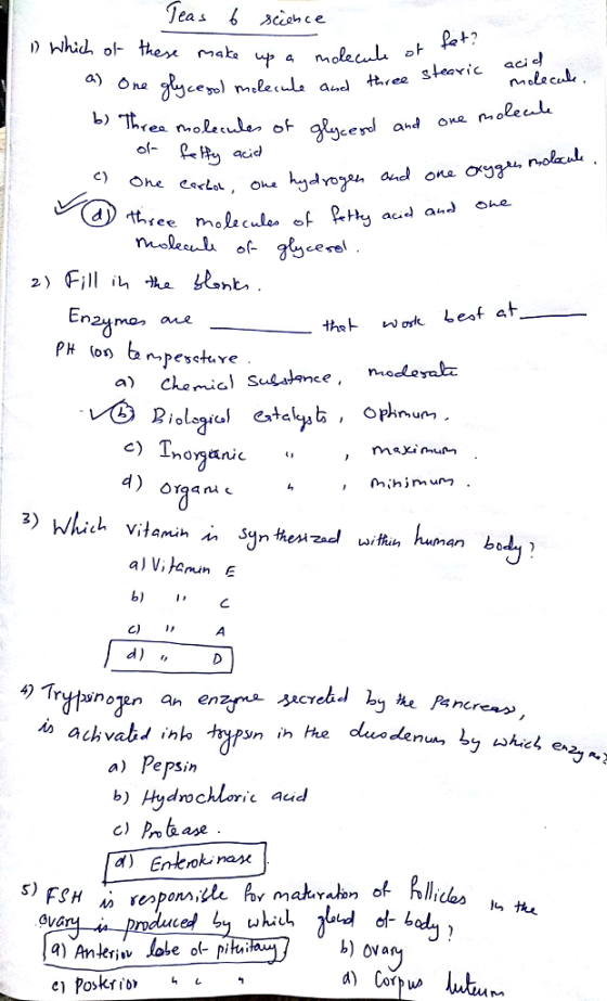 slearic aci cey and ne no c) the Lest at 4) b) 4) Trytrinolen an enzree-ycreb」.lyhe A:ncreas SRCY o achvahs in typn ih the dl