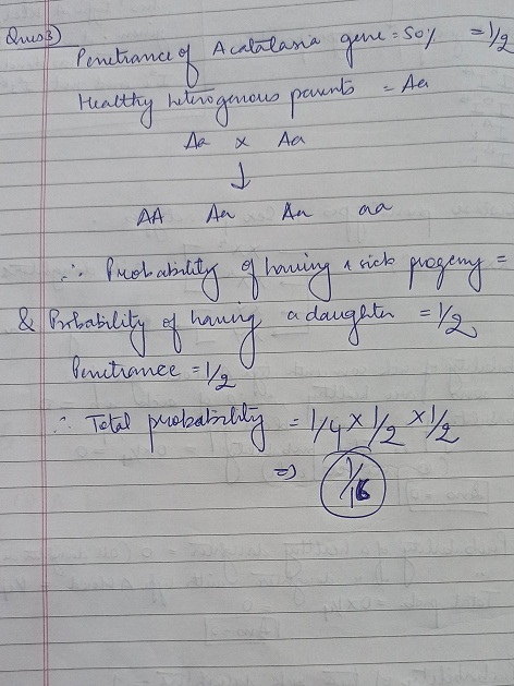 dus Acabalasia gene Penetrance of son & Ani Healthy heterogenous paunts Aa x Aa AA Au Au ana u Probability of having a sick p
