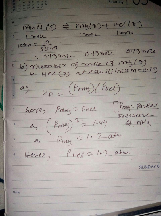 25 11 12 13 14 15 16 17 26 18 19 20 21 22 23 24 27 25 26 27 28 29 30 Saturday horre 4 a, Hewte p SUNDAY6 Notes