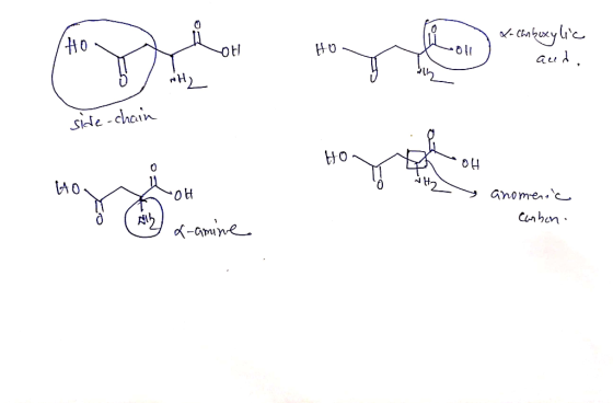 0 HO . x-chiboxylic J and, side-chain HO col GO LOH 142 anomenic (All Carbon . L-amine