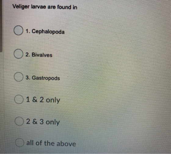 Veliger larvae are found in 1. Cephalopoda 2. Bivalves 3. Gastropods 1 & 2 only O 2 & 3 only all of the above