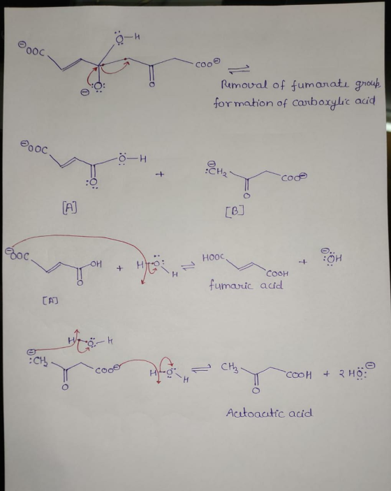 000 Removal of fumarate group formation of carboxylic acid + She coco goc Hooc OH + H & ROH Hooca fumaric COOH acid CAJ CH co