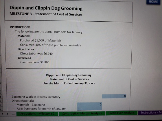 HOME Dippin and Clippin Dog Grooming MILESTONE 3 - Statement of Cost of Services INSTRUCTIONS: The following are the actual n