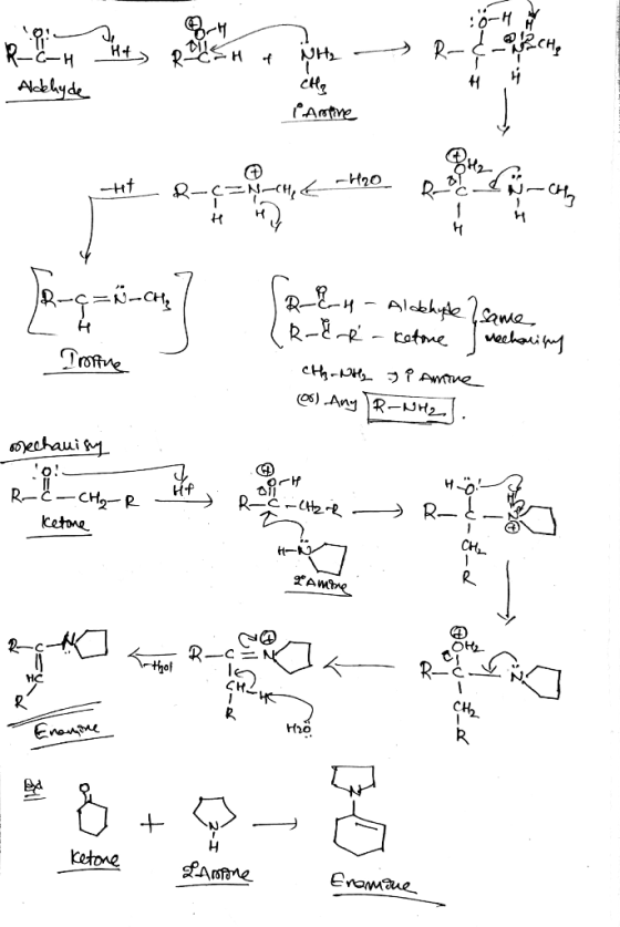 Ret huis en tuin Ponte - RB Aldehyde CH₃ - Pantinel - 8-c=N-CH, G phone from those . =NCH / Irmine B H - Aldehule & same (R &