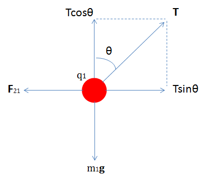 Tcose q1 F21 mig