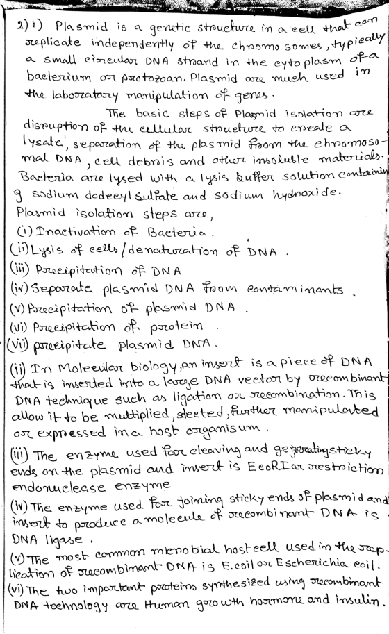 02 2) :) Plasmid is a genetic structure in a cell that ca replicate independently of the chromosomes, typic a small circular
