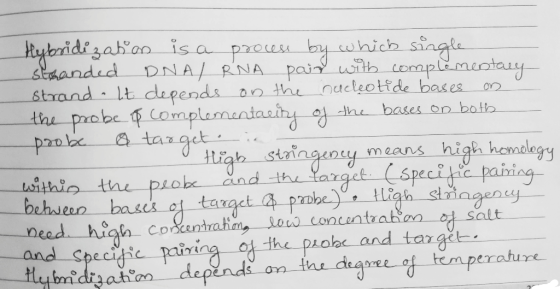 Heybridizaban is a prous by which single staanded DNA/RNA pai with complimeotay Strand lt depends an the nucleotde bases the