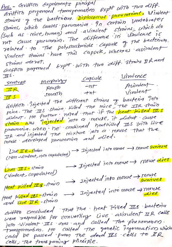 Us. string.g the bacteriam. Diplococcus Phey monial, w trùlent Transformation. He can and called the phenomenon. Ans - Goiffi