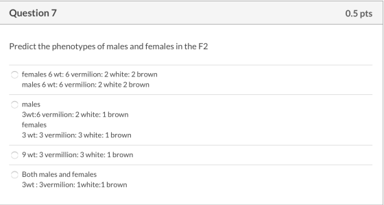 Question 7 0.5 pts Predict the phenotypes of males and females in the F2 females 6 wt: 6 vermilion: 2 white: 2 brown males 6