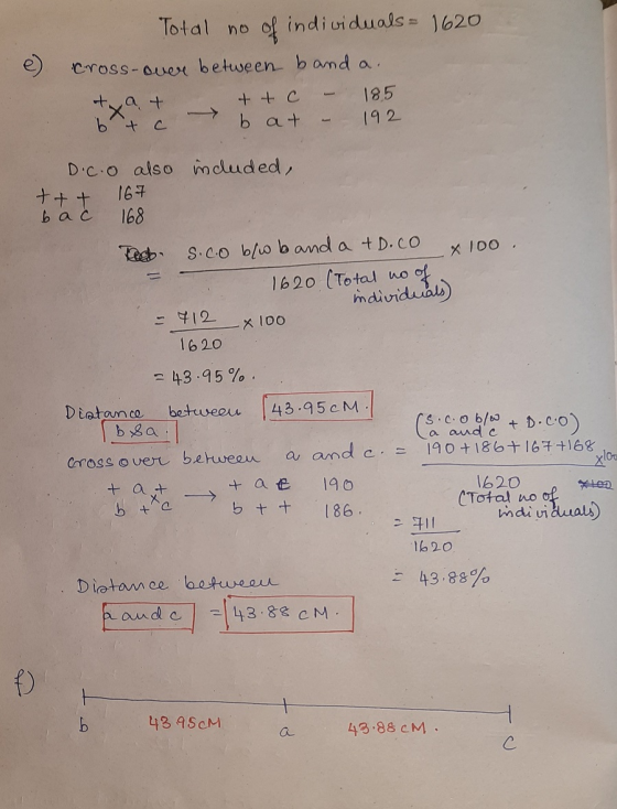 e Total no of individuals = 1620 cross-over between band a. ta t ttc - 185 btc - b at - 192 included, D.C.O also ttt 167 bac