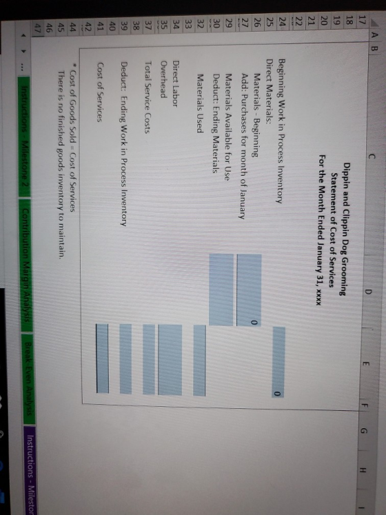 A B E F G H I Dippin and Clippin Dog Grooming Statement of Cost of Services For the Month Ended January 31, XXXX 20 22 24 25