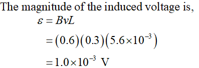 The magnitude of the induced voltage is, E = BvL = (0.6)(0.3)(5.6x10-) = 1.0x10-3 v