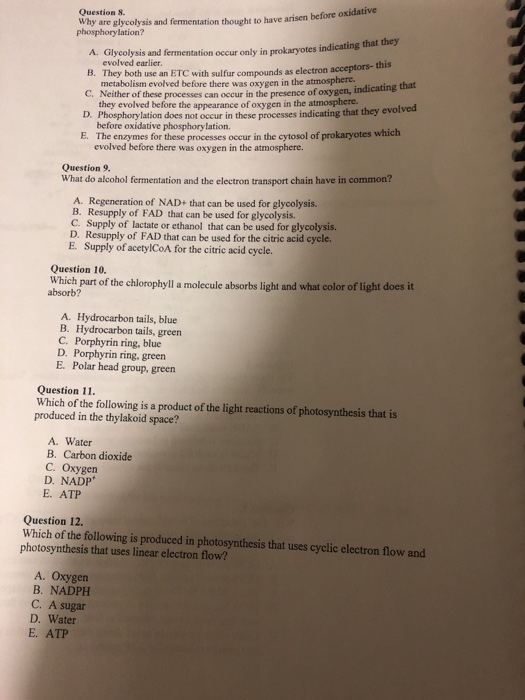 Question 8. why are glycolysis and fermentation thought to have arisen before oxid phosphorylation? A Glycolysis and fermenta
