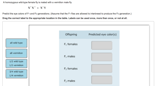 The inheritance of eye color in Drosophila is cont