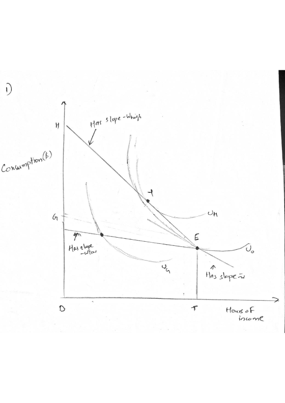 H Has slope Whigh Consumption (6) slipe an Has slope w Hours of income