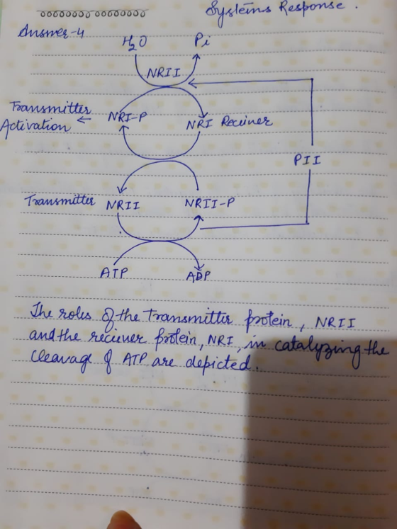 VOTO0000-00000000 H50 (NRII Systeins Response. Pi Answer-4. NK Transmitter NRI-P NRI Receiner Activation a ------..... z NRII