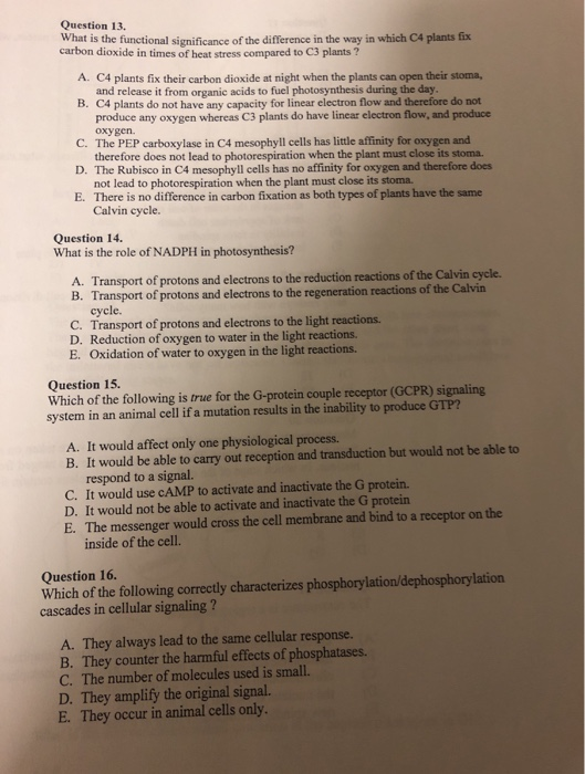 Question 13. What is the functional significance of the difference in the way in which C4 plants fix carbon dioxide in times