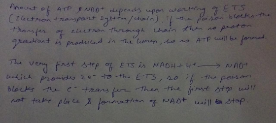 Anourt of ATP SNAD+ depends upon working of t. (Electron transport system/chain), if the person bloe ransfer of clutron throu