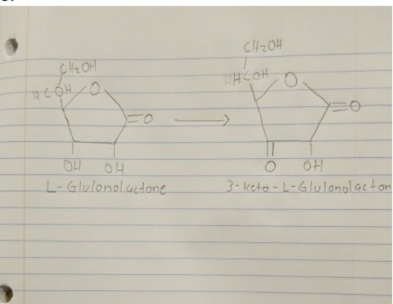 20 ?0 ?? O4 Glulonolacdone 3-keto-L-Glulonol acto