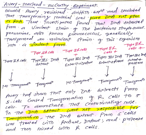 Averya: Macleod - mc Carthy Experiment. oswald Auery revisited Ariffith. expht and concluded that townsforming Material was ·