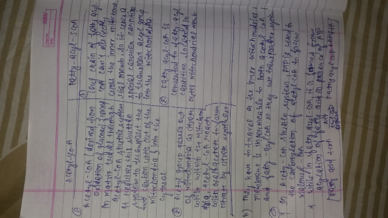 tn matris tvl toh Certs the iner mitlc hna t oputrex thir shuttle poriar caier casthit ki tochonna o Mitochondia a dArese Ote