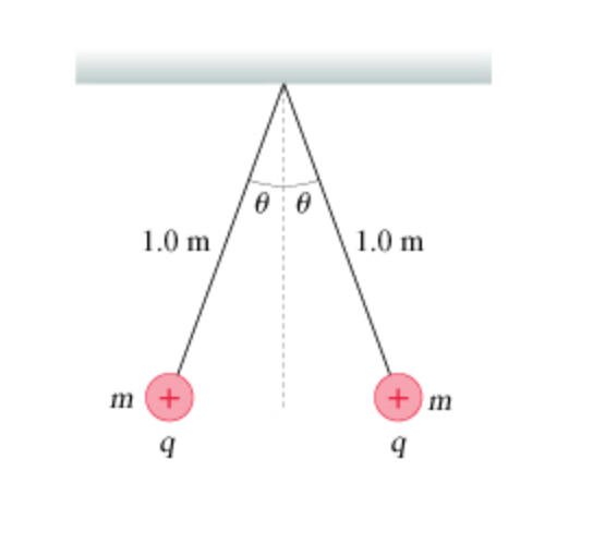 1.0 m 1.0 m