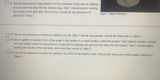 13. Test the final dialysis bag solution for the presence of glucose by dipping one glucose test strip into the dialysis bag.