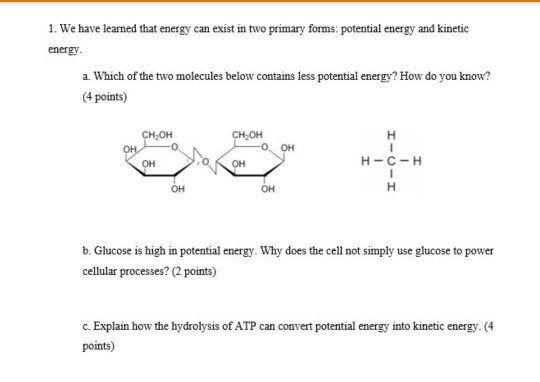 1. We have learned that energy can exist in two primary forms: potential energy and kinetic energy a. Which of the two molecu
