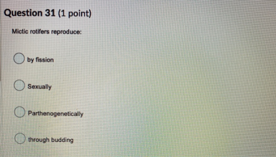 Question 31 (1 point) Mictic rotifers reproduce: by fission Sexually Parthenogenetically o through budding