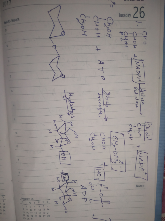 2017 Tuesday е 53-360-005 свои * . . . CHOH CH,0h Choti СИОН СИО & ATP NADPH Aldose Reductase Transfer си ои CHOH Tमा Сн, он