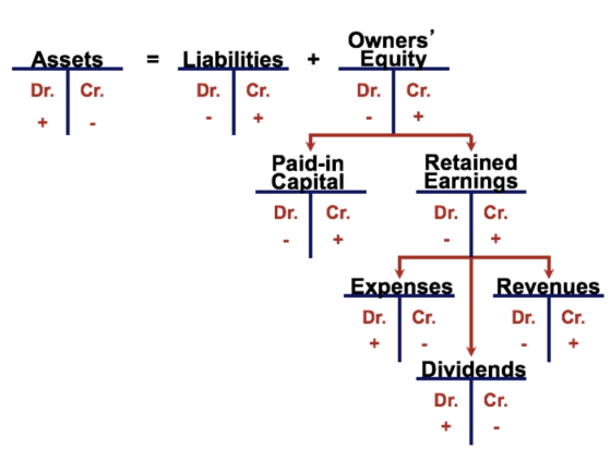 = Liabilities + Owners Equity Assets Dr. Cr. Dr. Cr. Dr. Cr. + + Paid in Capital Dr. Retained Earnings Dr. Cr. Cr. + Expense