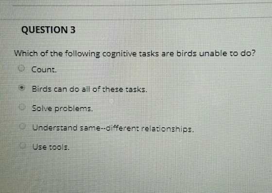 QUESTION 3 Which of the following cognitive tasks are birds unable to do? Count Birds can do all of these tasks. Solve proble