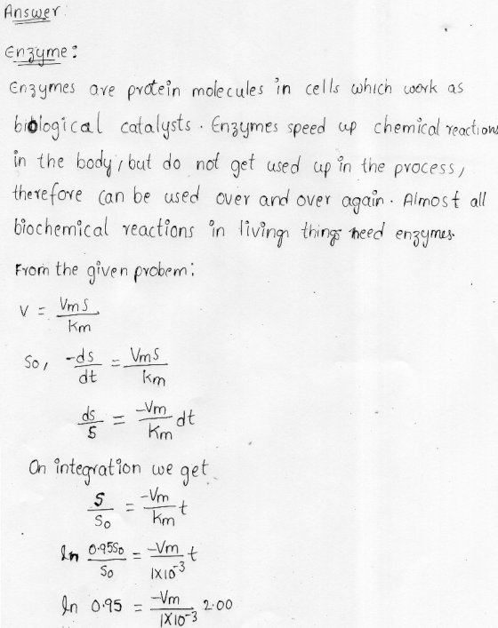 Answer: enzyme : Enzymes are protein molecules in cells which work as biological catalysts . Enzymes speed up chemical reacti