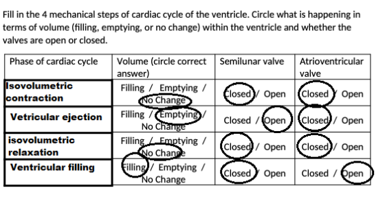 Fill in the 4 mechanical steps of cardiac cycle of the ventricle. Circle what is happening in terms of volume (filling, empty