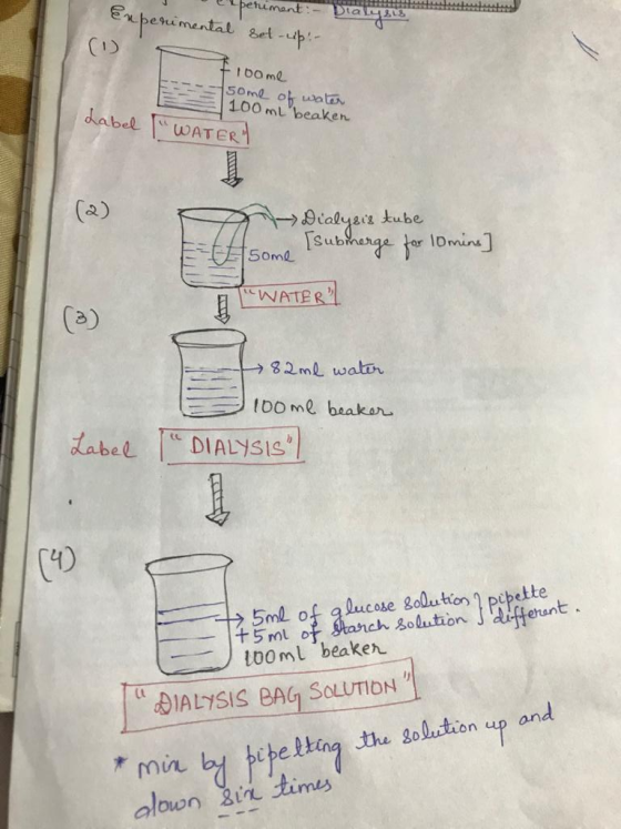 J e peruiment:- Enperimental set-up: - NIHIL Dtal (1) 7 10ome some of water 100 ml beaken Label WATERT = Dialysis tube some