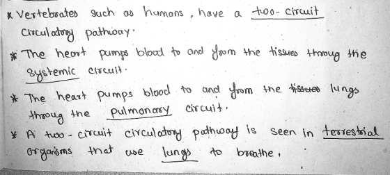 * Vertebrates such as humans , have a too. circuit Circulatory pathway: * The heart pumps blood to and foom the tissues throu