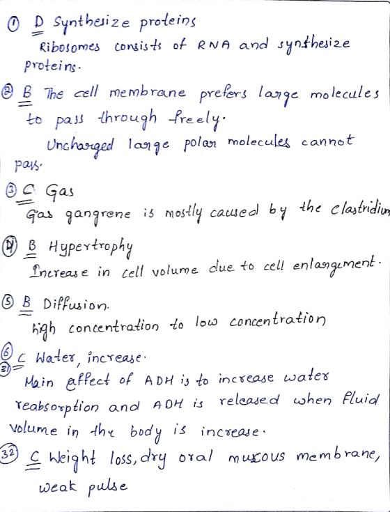O D Synthesize proteins Ribosomes consists of RNA and synthesize proteins. @ B The cell membrane prefers large molecules - to
