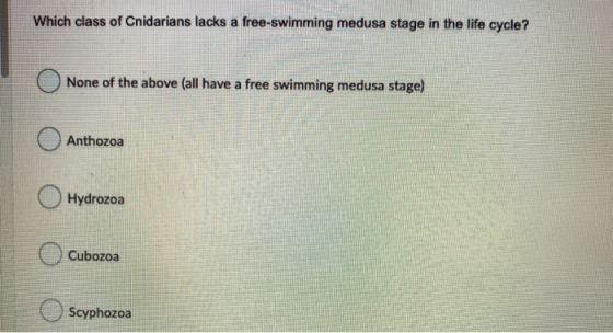 Which class of Cnidarians lacks a free-swimming medusa stage in the life cycle? None of the above (all have a free swimming m