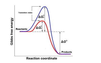 Transition states AG Reactants Gibbs free energy AG Products Reaction coordinate
