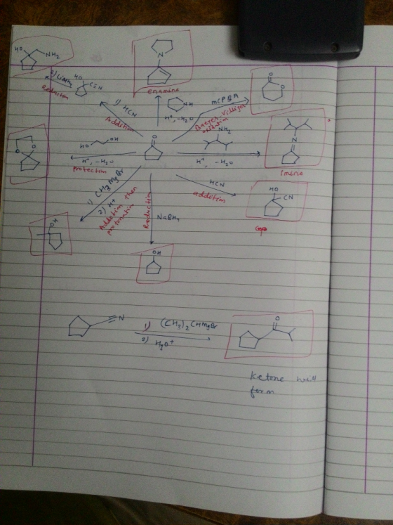 noСEN Linh Reaction mcPgA HCN Addition A -H, protection CH₂ ng an HEN addition 2) H+ then Addition protonatin o casamento O,