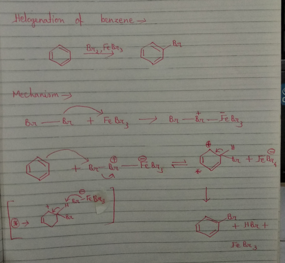 benzene Bry Fe Bts Mechanism BorFe B +Fe Br Br Bor r tte Br +Br Br Ba-FeBry Bor Bn Fe Brr 3