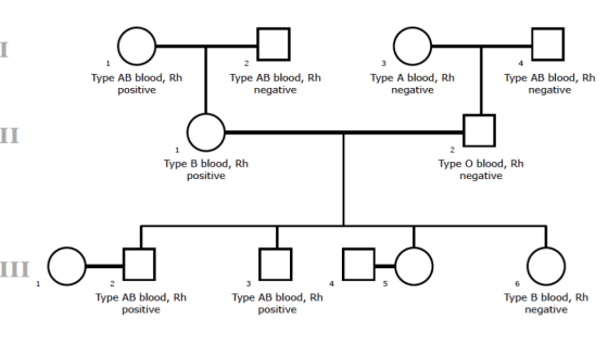 Type AB blood, Rh positive Type AB blood, Rh negative Type A blood, Rh negative Type AB blood, Rh negative Type B blood, Rh p