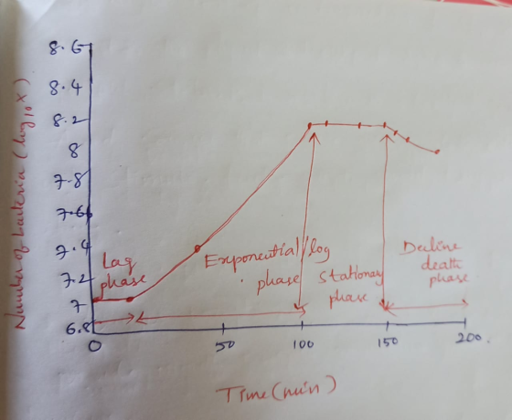 do is do it (xol boy) ynopna 2 vann gott 2.4 gilar Decline death phase Exponentials log phase stationary 7.4 phase 7 & phase