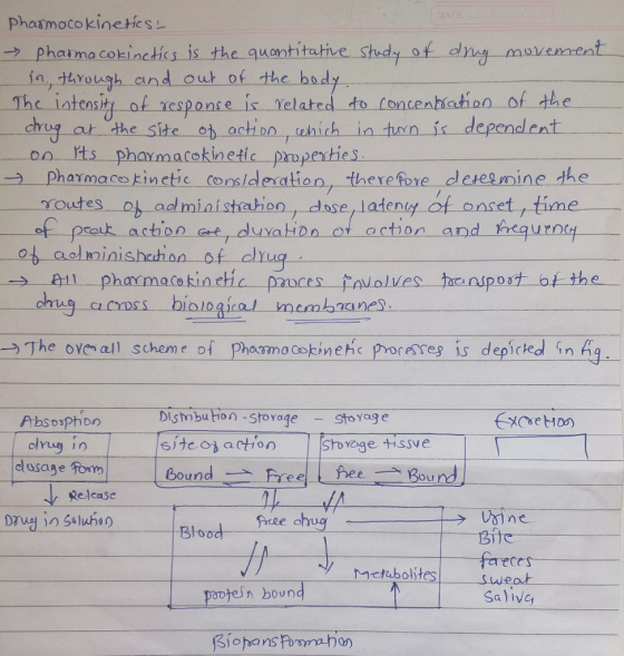 phasmocokinetics → Pharmacokinetics is the quantitat in.,共your-gh-and he iate ve. Shedy of body dr チーmovemet of the out of th