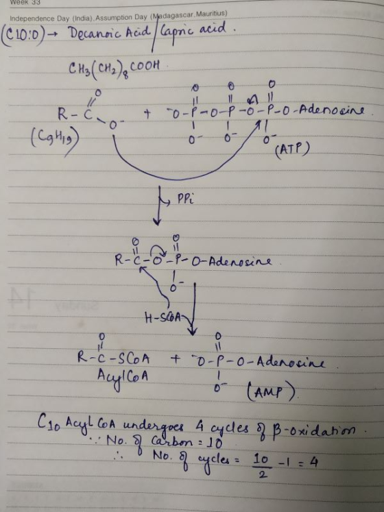 Week 33 Independence Day (India). Assumption Day (Madagascar Mauritius) (C10:0) - Decanoic Acid Capric acid CH3 (CH3),COOH R-