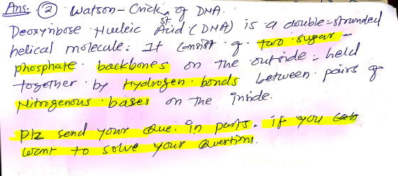 2 Ans Watson- Crick of DMA. Deoxyribose Hucleic Aid (DNA) is a double-spanded helical molecule: It consi87 g. two sugar phosp