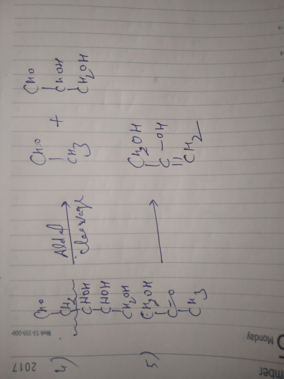 Ember 2017 Monday Week 53-359-006 لبرج HOND на 2 cleavage B 0=ں) + CHOH Home 19